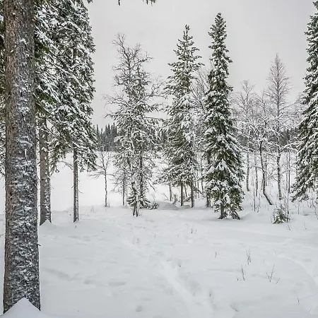 Prázdninový dům Seitsemaen Savua 6 By Interhome Ruka