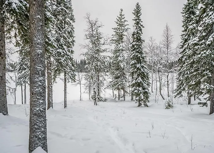 Seitsemaen Savua 6 By Interhome 펜션